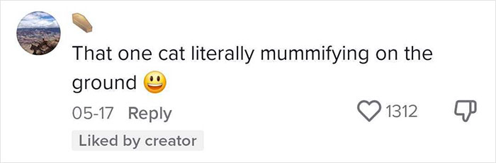 Woman Thinks She Bought A &ldquo;Normal&rdquo; Kitty Coloring Book, Starts Noticing Odd Things About It