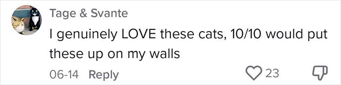 Woman Thinks She Bought A &ldquo;Normal&rdquo; Kitty Coloring Book, Starts Noticing Odd Things About It