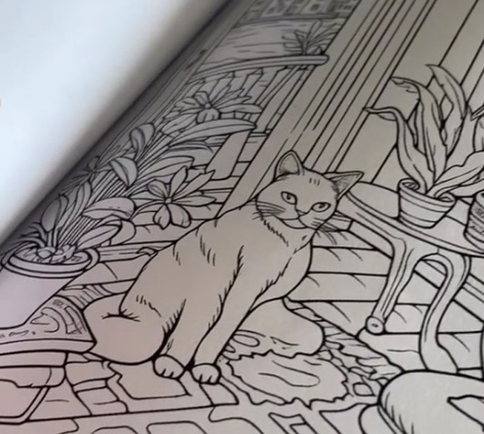Woman Thinks She Bought A &ldquo;Normal&rdquo; Kitty Coloring Book, Starts Noticing Odd Things About It