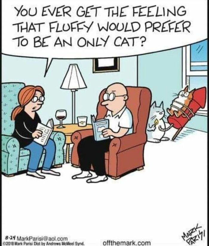 Humorous-Animal-Memes