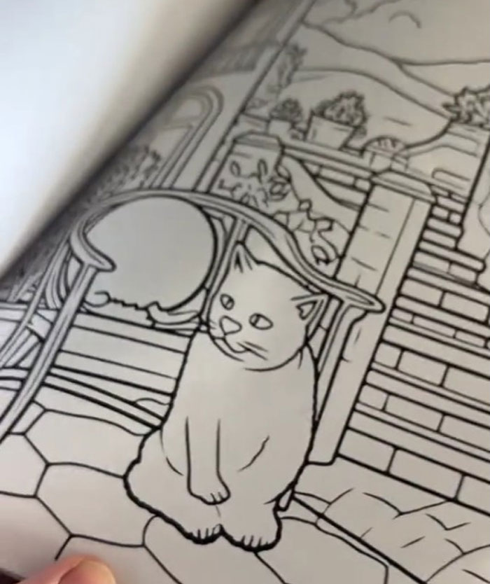 Woman Thinks She Bought A &ldquo;Normal&rdquo; Kitty Coloring Book, Starts Noticing Odd Things About It