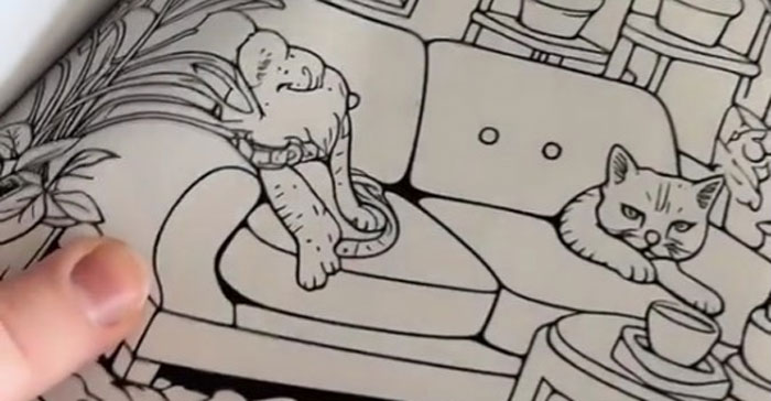 Woman Thinks She Bought A &ldquo;Normal&rdquo; Kitty Coloring Book, Starts Noticing Odd Things About It
