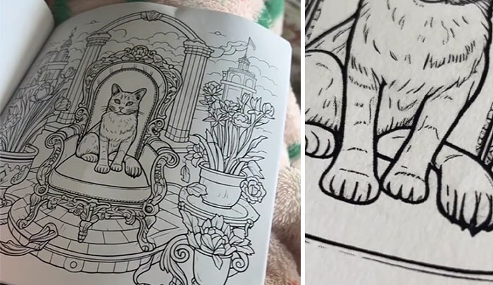Woman Thinks She Bought A &ldquo;Normal&rdquo; Kitty Coloring Book, Starts Noticing Odd Things About It