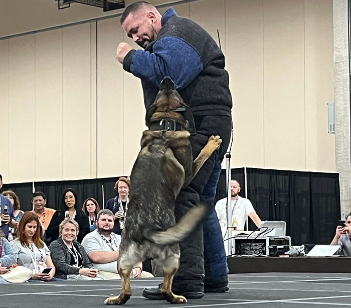 Police Dog Retires After Nearly A Decade Of Service, Heartwarming Video Is Spreading Online Police Dog Retires After Nearly A Decade Of Service, Heartwarming Video Is Spreading Online