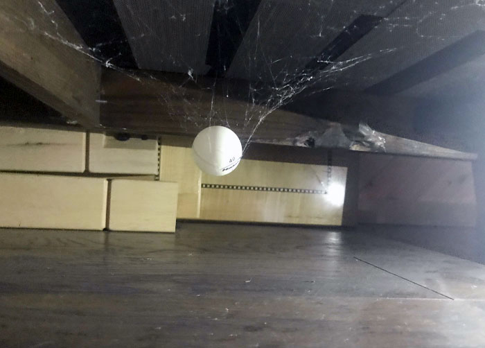 I Found A Ping Pong Ball Under My Basement Sofa Elevated By Spider Cobwebs