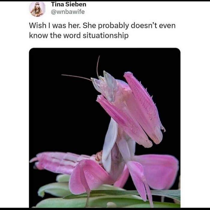 Misandrist-Memes-Jokes