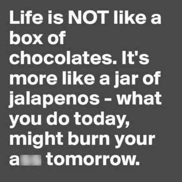 Text post humorously comparing life to a jar of jalapenos, not chocolates.