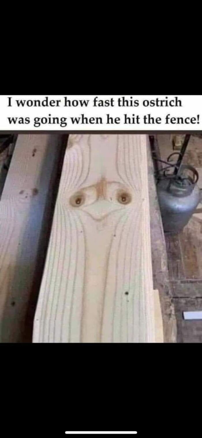 Funny post: Wood plank with grain resembling an ostrich face.