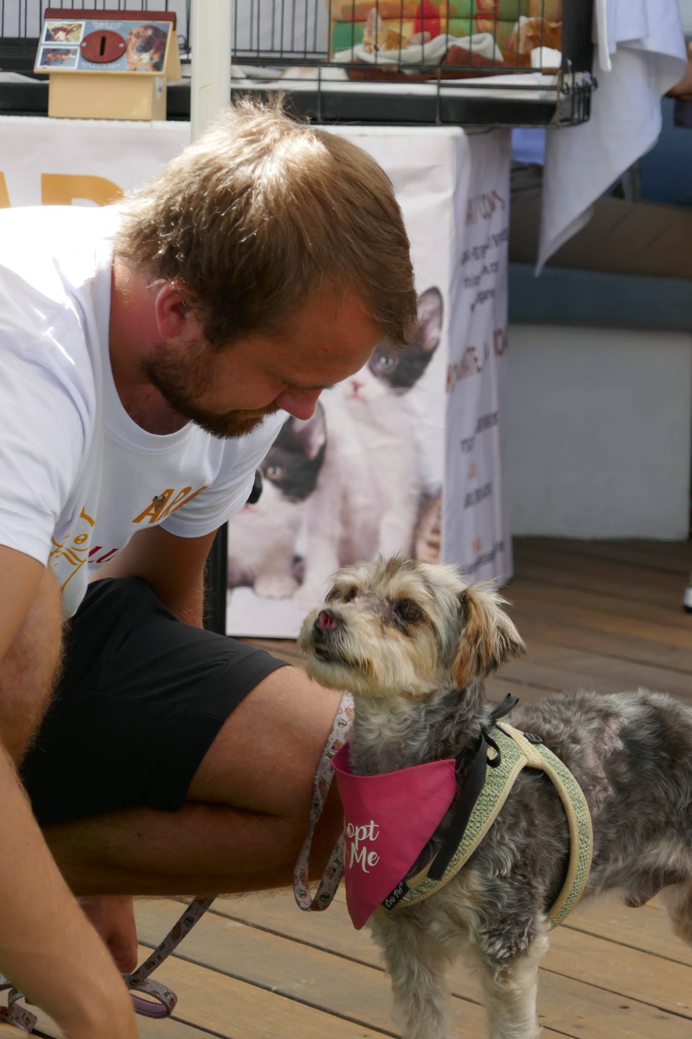 Through The Shelter Doors One Last Time: Family Returns ‘Heartbroken’ Dog to Shelter After 8 Years Through The Shelter Doors One Last Time: Family Returns ‘Heartbroken’ Dog to Shelter After 8 Years