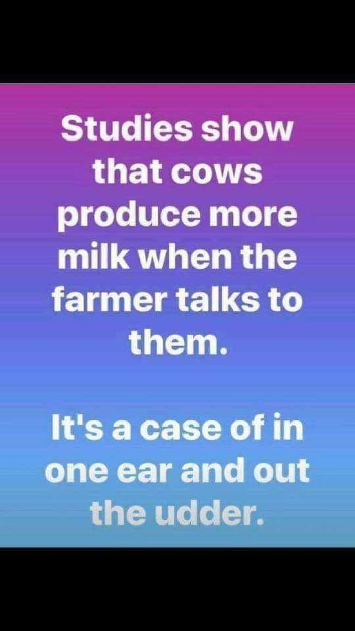 Funny-Memes-Dad-Jokes-Daily