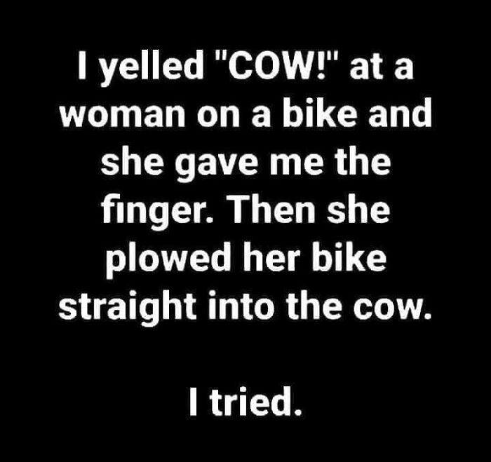 Funny Facebook post about a cyclist misunderstanding a shouted warning and crashing into a cow.