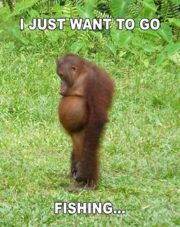 Funny-Memes-Dad-Jokes-Daily