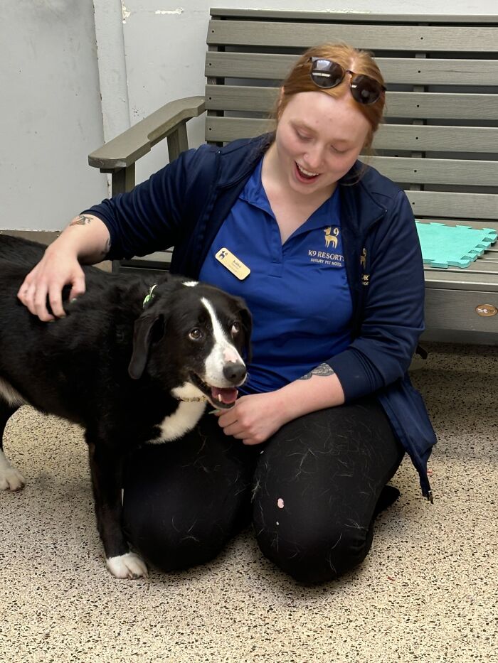 Through The Shelter Doors One Last Time: Family Returns ‘Heartbroken’ Dog to Shelter After 8 Years Through The Shelter Doors One Last Time: Family Returns ‘Heartbroken’ Dog to Shelter After 8 Years