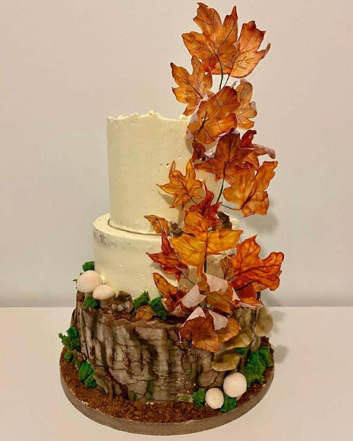 Creative-Cake-Design-Pics