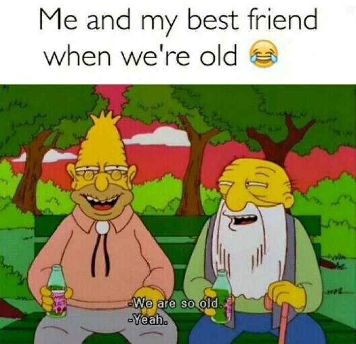 Funny-Simpsons-Memes