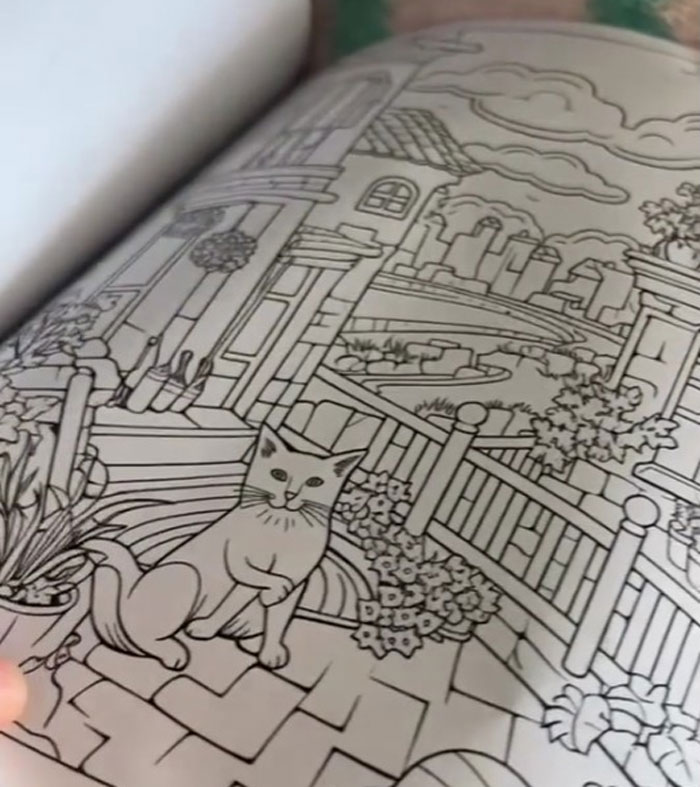 Woman Thinks She Bought A &ldquo;Normal&rdquo; Kitty Coloring Book, Starts Noticing Odd Things About It