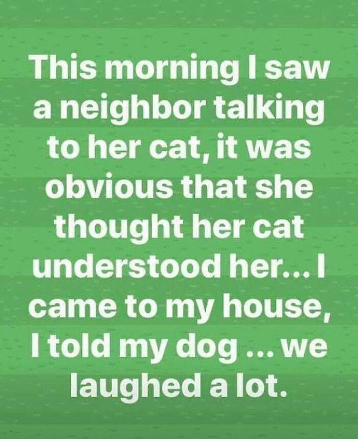 Funny post with text about a neighbor talking to her cat and a dog laughing, from a Facebook group.