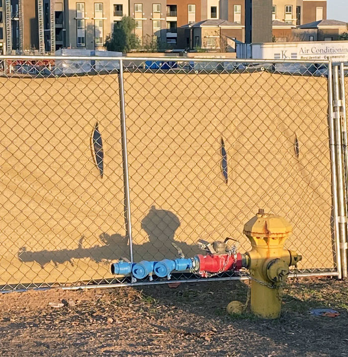The Shadow Of This Fire Hydrant Looks Like A Soldier Holding A Rifle