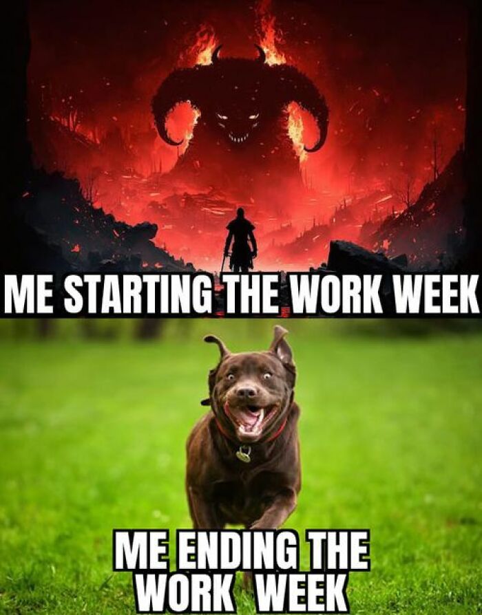 Funny-Work-Life-Memes
