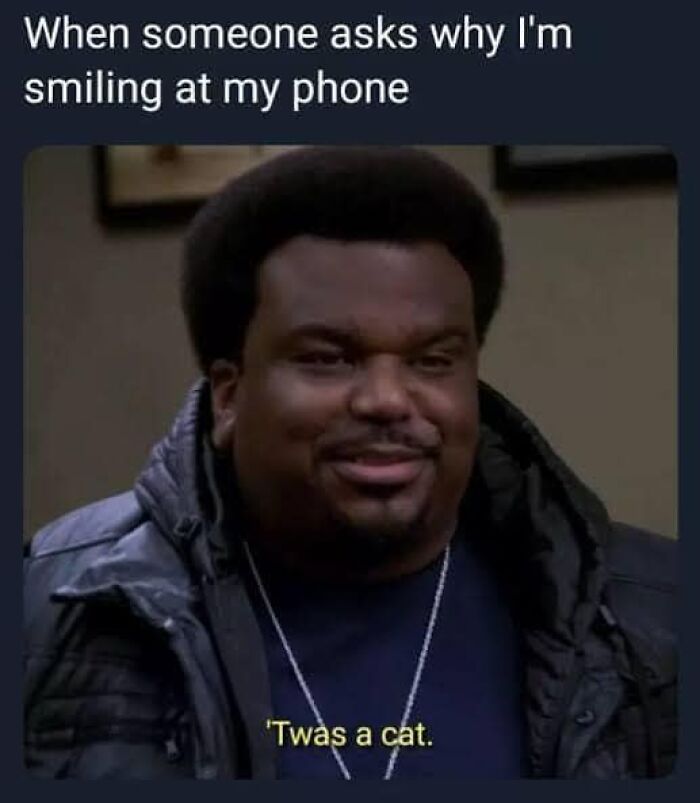 Memes-I-Could-Tag-My-Cat-In-Funny-Pics