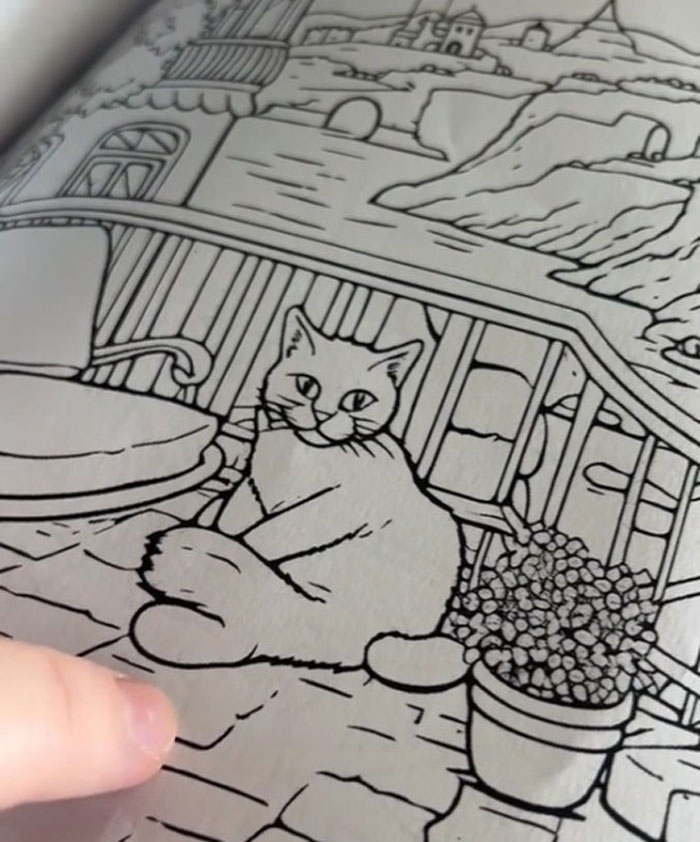 Woman Thinks She Bought A &ldquo;Normal&rdquo; Kitty Coloring Book, Starts Noticing Odd Things About It