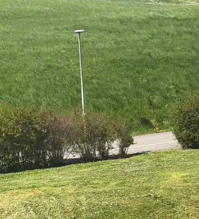 Woman Shares Her Swedish Neighborhood Shocks After Moving From The US Woman Shares Her Swedish Neighborhood Shocks After Moving From The US