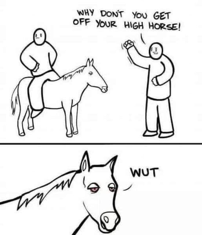 Cartoon of a person on a horse being told to "get off your high horse" with the horse's confused face; relatable meme.