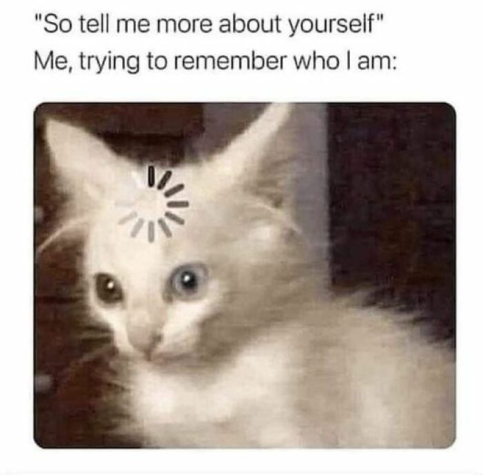 Funny-Work-Life-Memes