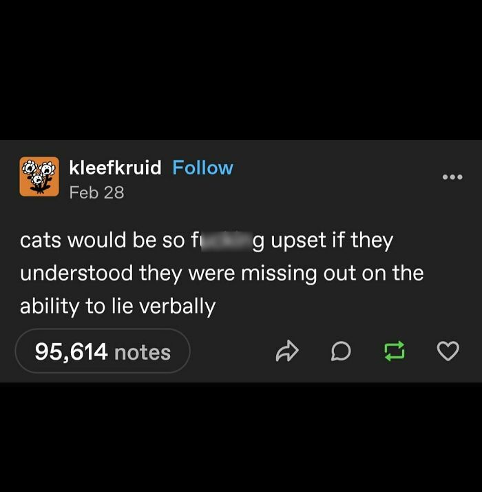 Funny meme about cats wishing they could lie verbally, with over 95,000 notes.