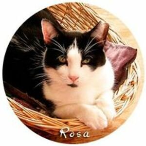 tamara_heikalo_1 avatar