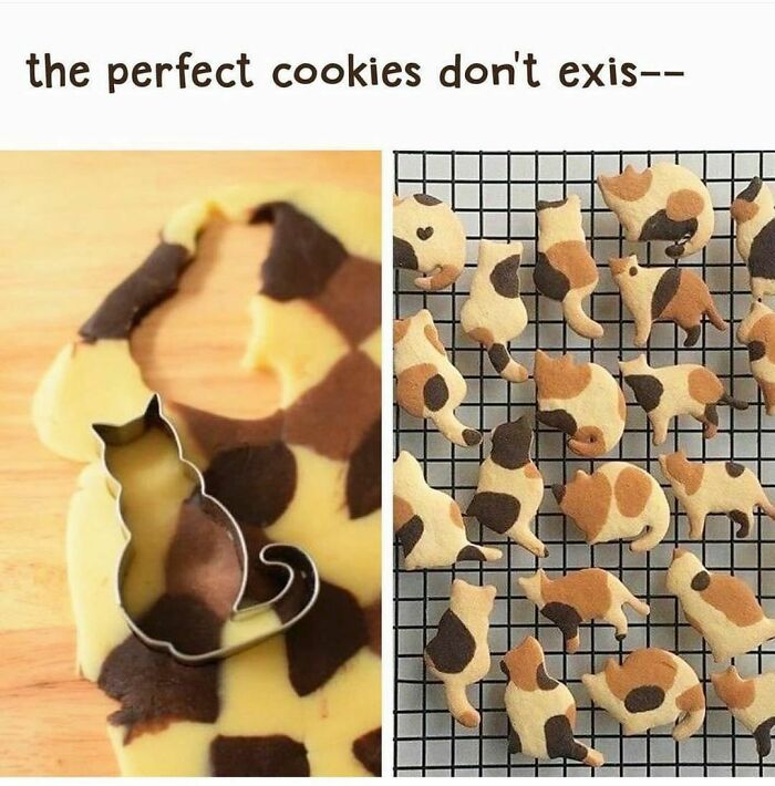 Cat-shaped cookies with multi-colored dough, cutting process on left, baked cookies on rack to the right; funny meme.