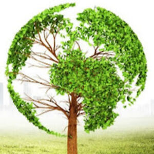 cherryspecial avatar