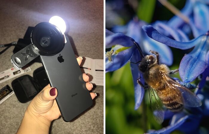 Capture Stunning Macro And Wide-Angle Shots With The Pro Lens Kit