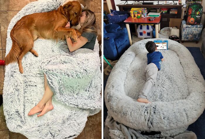  Human Dog Bed – Who Needs A King-Size When You Can Have A Dog-Pile Size?