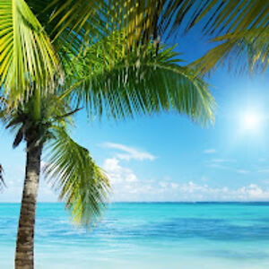 marymcnamara_2 avatar