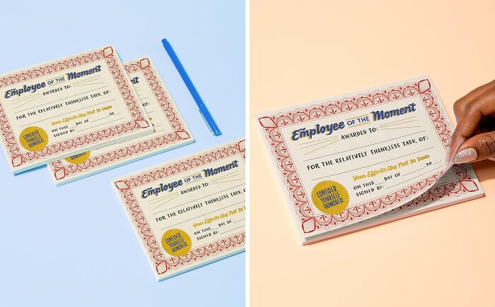 Novelty employee awards for humorous moments, with a playful design, featuring certificates and a pen.