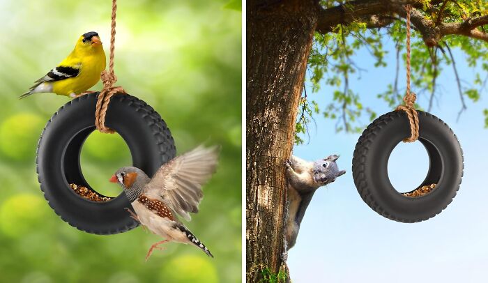 Birds and a squirrel interact with tire swings, showcasing ridiculous finds in a playful, natural setting.