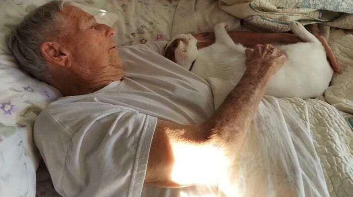 My Step-Mom Adopted A Cat For Her Elderly Parents. We Were Nervous Her Dad Wouldn’t Like Him