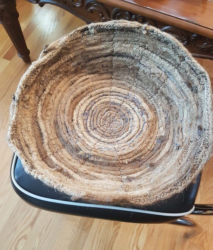 This Dread Bed. My Friend Got His Dreads Cut Off, His Mom Turned Them Into A Cat Bed