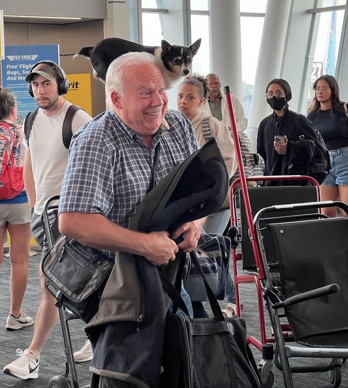 This Man And His Dog I Saw At The Airport 