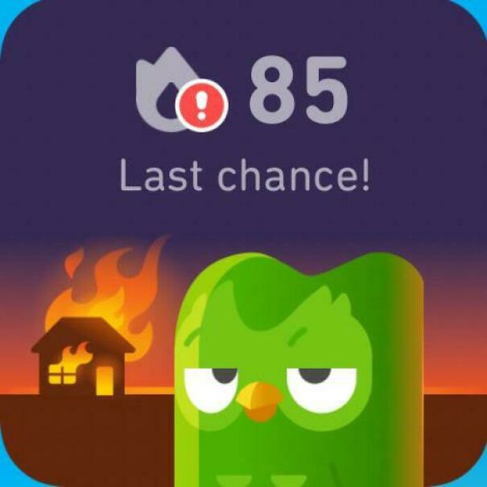 Duolingo meme featuring an owl with "Last chance!" text and a burning house in the background.