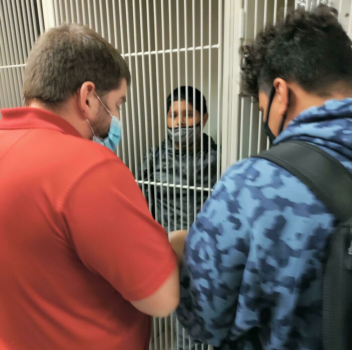 Kid Locked Himself In A String Bass Locker, The Teacher Had To Help Him Out