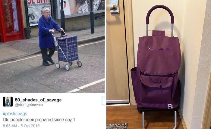  Trolley Dolly: Your Grocery Shopping Sidekick For Effortless Errands And A Happier Planet