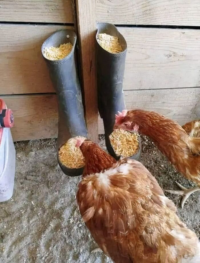 What A Great Idea For Repurposing Wellington Boots