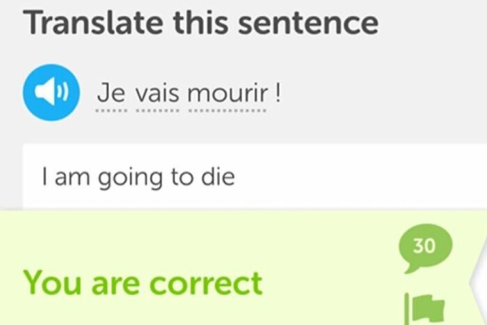 Hilariously threatening Duolingo meme with the phrase "Je vais mourir" translated as "I am going to die."