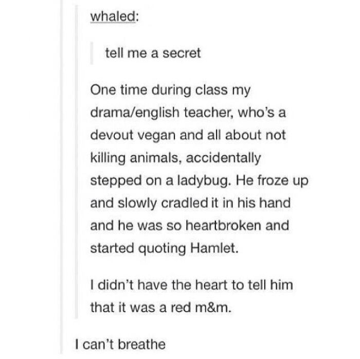 Vegan Teacher And A Ladybug