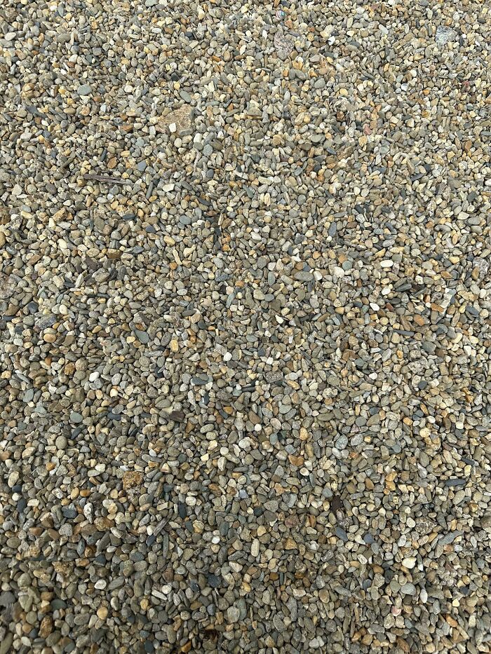 My Daughter Dropped Her Duck