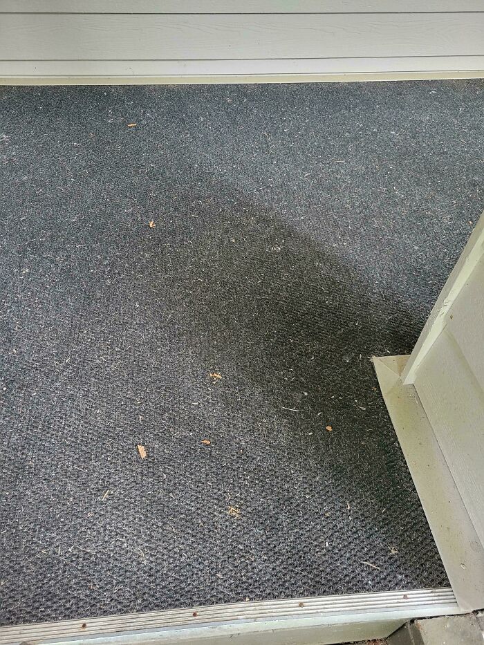 Find The Dropped Allen Wrench