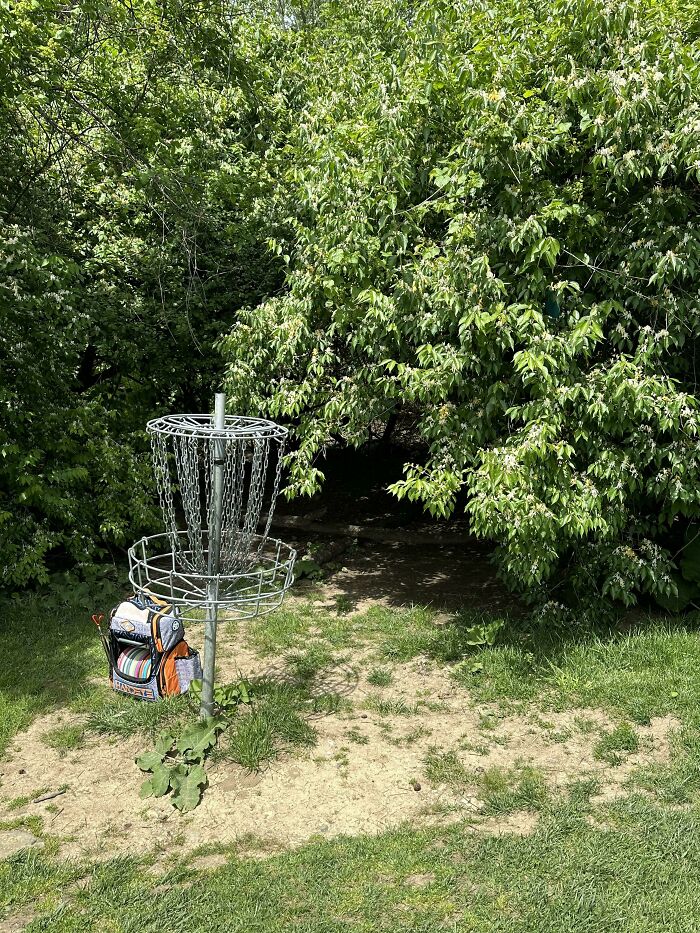 It Took Me 20 Min To Find My Disc. Can You?