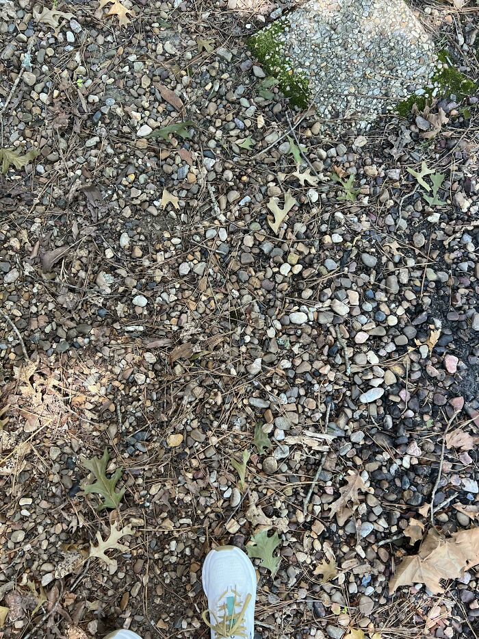 My Dad Said The Spare Key Must Have Fallen Into The Gravel🤦🏻‍♀️